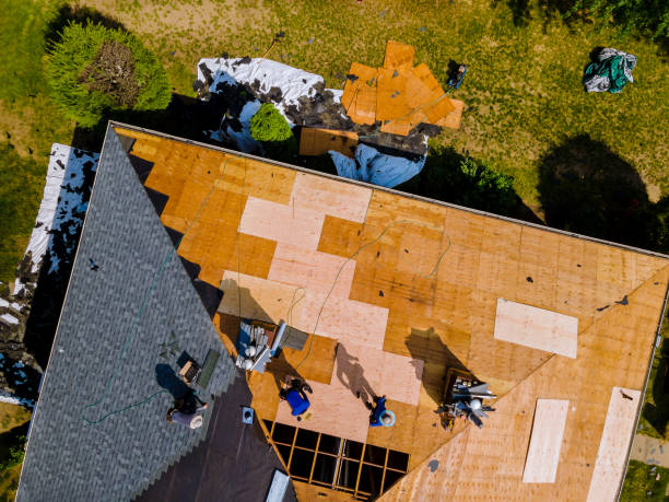 Best Roof Gutter Cleaning  in Ashton, ID