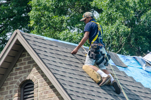 Roof Waterproofing Services in Ashton, ID